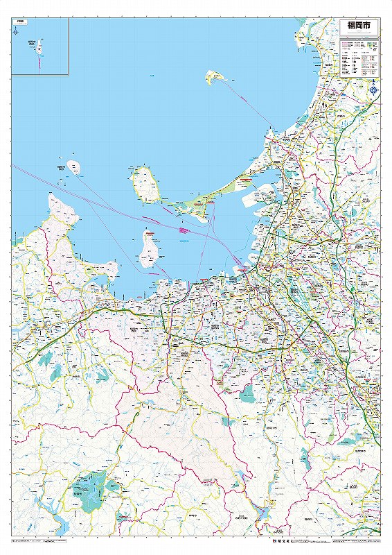 ��Į¼�̹�����ʬ�Ͽ� ʡ���� ʡ���� �ʥ��顼��