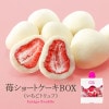 硼ȥBOXʤȥա 40g ۻ 祳졼  祳 祳졼 ߥ륯β̣襤