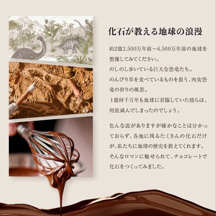 ������ɥ֥å����� ����饷�å����祳�顡�ǥ������å�