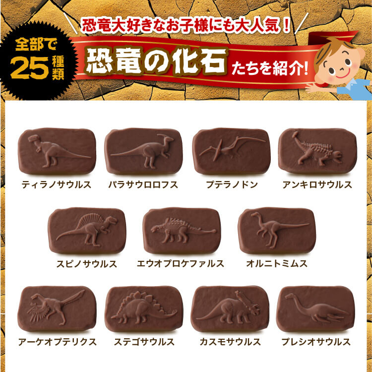 饷å祳 åBOX5˶ε祳 η򤷤Ȣˡ25ζεβФ򷿼äߥ˥祳졼