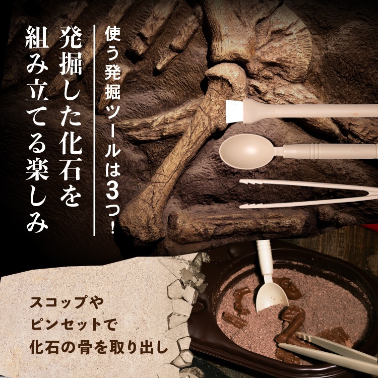 ������ɥ֥å�����  ����饷�å����祳�� �ѥ���