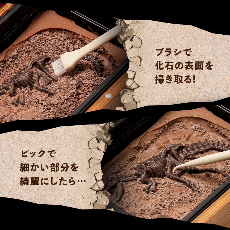 ������ɥ֥å����� ��äơ����äơ��ڤ�����祳�졼�ȡ�����饷�å����祳�� �ǥ������åס��ѥ���  ��ε���祳 �Х�󥿥���