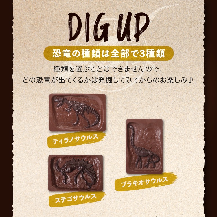 ������ɥ֥å����� ��äơ����äơ��ڤ�����祳�졼�ȡ�����饷�å����祳�� �ǥ������åס��ѥ���  ��ε���祳 �Х�󥿥���