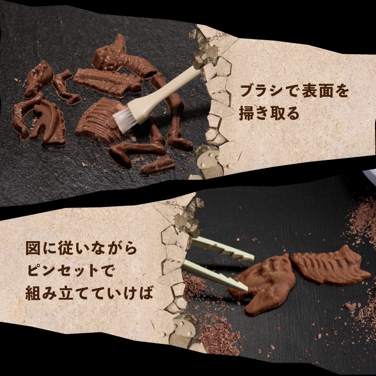 ������ɥ֥å����� ��äơ����äơ��ڤ�����祳�졼�ȡ�����饷�å����祳�� �ǥ������åס��ѥ���  ��ε���祳 �Х�󥿥���