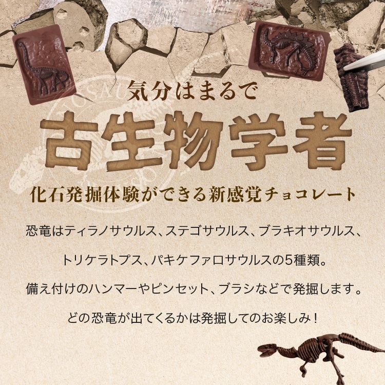 ������ɥ֥å����� ��äơ����äơ��ڤ�����祳�졼�ȡ�����饷�å����祳�� �ǥ������åס��ѥ���  ��ε���祳 �Х�󥿥���