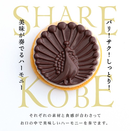 ���渵 ������ ޯ����ͥ��祳����� 10�ĥ��å�(���եȡ������б���ǽ) �졼������������Ϥ�ޥ��������������祳�� ���äȤꥯ�å����ǥ���ɤ��������ʰ��ʤǤ�