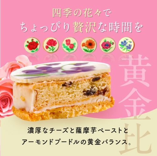 �ץ쥼��� ���ۻ� �ե����祳�����7������ ���祳�졼�� �������� ���ե� ������� ���祳�졼�Ȳۻ� ���󥹥��Ǥ� ���祳 �� ���ۻ�
