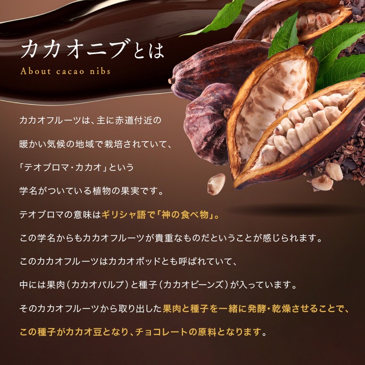 ���ͥ��֥륫����160g �����祳 �͵� ���祳�졼�� �ߥ륯���祳�졼�� ���������祳�졼�� �������˥ֻ���