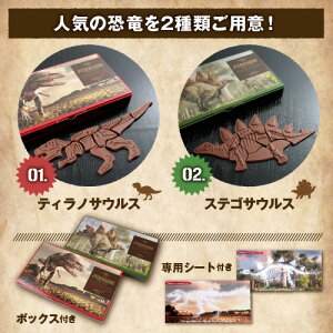 ����饷�å����祳�� ��ε���������ѥ�����祳�졼�ȡʥƥ���Ρ����ƥ��˶�ε���祳  ���ۻ� ��ˡ��� 