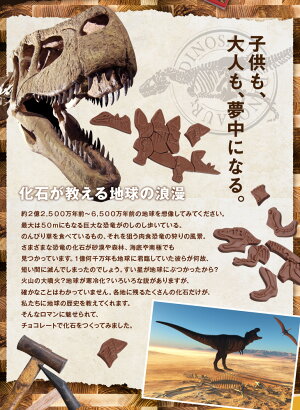 ����饷�å����祳�� ��ε���������ѥ�����祳�졼�ȡʥƥ���Ρ����ƥ��˶�ε���祳  ���ۻ� ��ˡ��� 