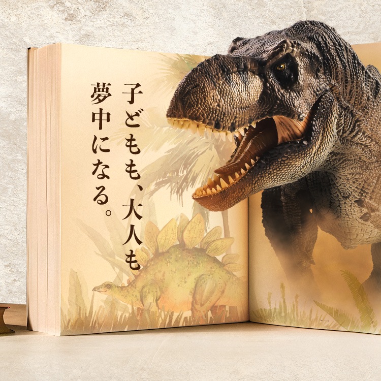 ����饷�å����祳�� �ѥ��� �ڤ�����祳�� ȯ�� ���� ��ˡ��� ������ ���⤷����