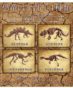 ����饷�å����祳�� �ѥ��� �ڤ�����祳�� ȯ�� ���� ��ˡ��� ������ ���⤷����