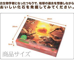 ����饷�å����祳�� �ѥ��� �ڤ�����祳�� ȯ�� ���� ��ˡ��� ������ ���⤷����