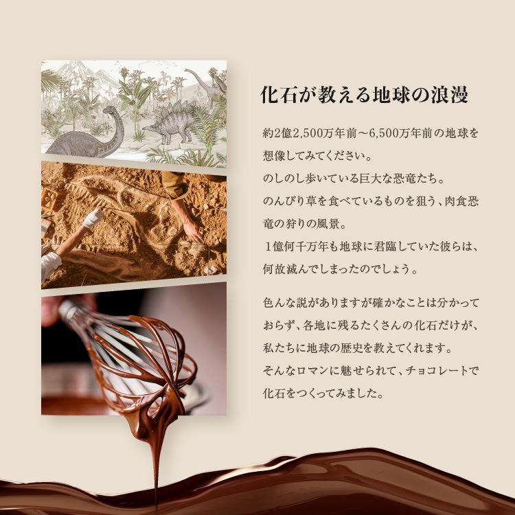 ����饷�å����祳�� �ѥ��� �ڤ�����祳�� ȯ�� ���� ��ˡ��� ������ ���⤷����