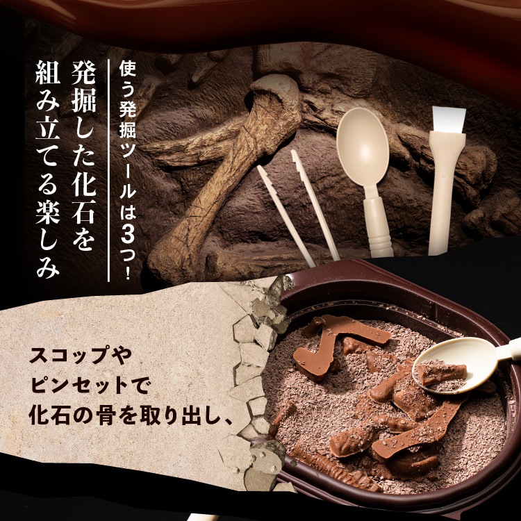 ����饷�å����祳�� �ѥ��� �ڤ�����祳�� ȯ�� ���� ��ˡ��� ������ ���⤷����