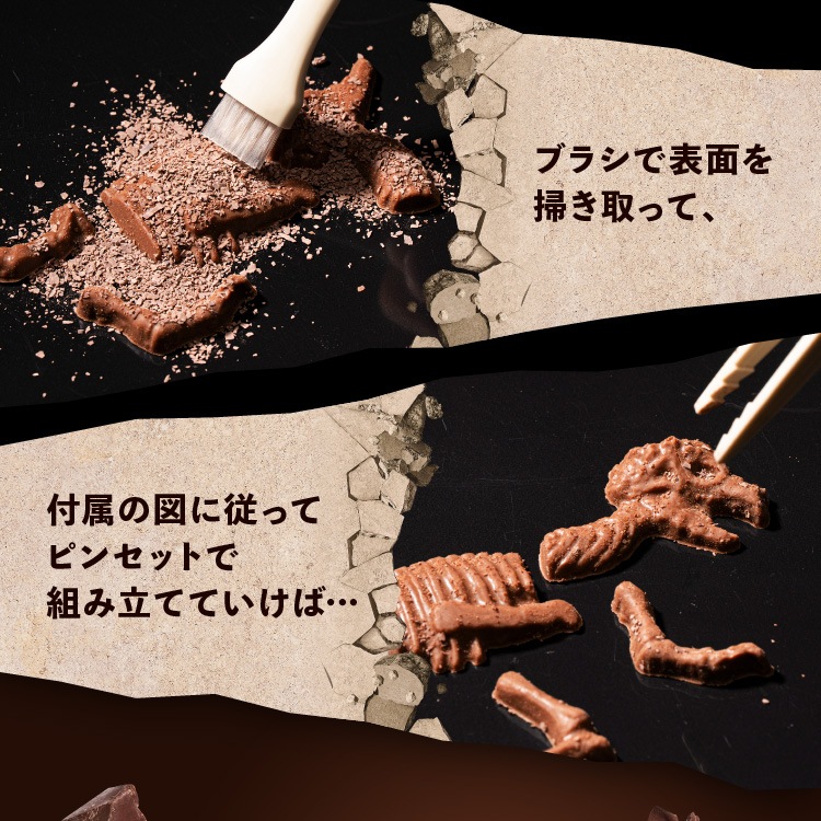 ����饷�å����祳�� �ѥ��� �ڤ�����祳�� ȯ�� ���� ��ˡ��� ������ ���⤷����