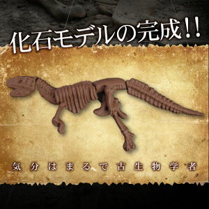 ����饷�å����祳�� �ѥ��� �ڤ�����祳�� ȯ�� ���� ��ˡ��� ������ ���⤷����