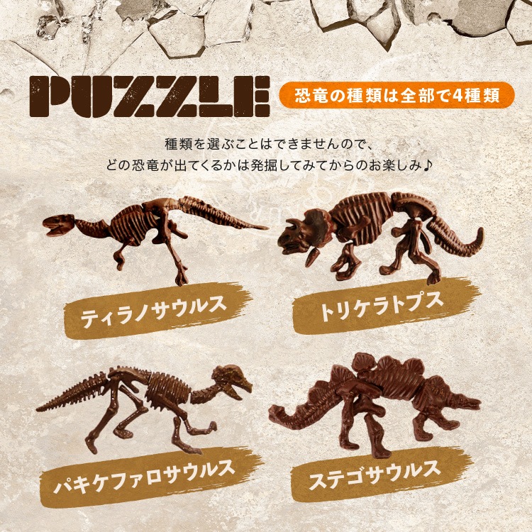 ����饷�å����祳�� �ѥ��� �ڤ�����祳�� ȯ�� ���� ��ˡ��� ������ ���⤷����