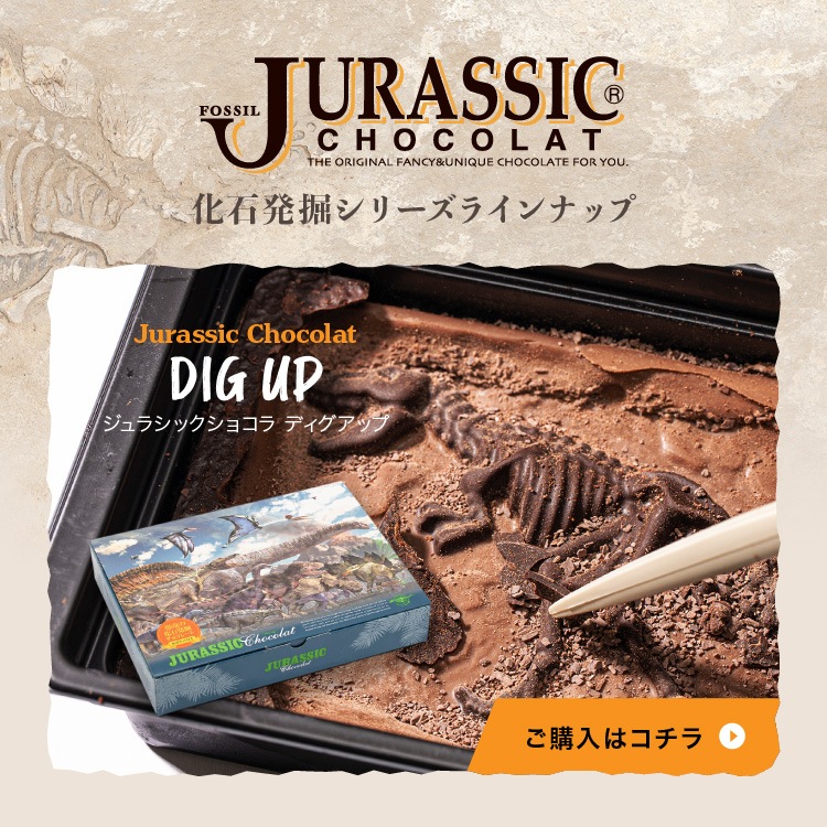 ����饷�å����祳�� �ѥ��� �ڤ�����祳�� ȯ�� ���� ��ˡ��� ������ ���⤷����