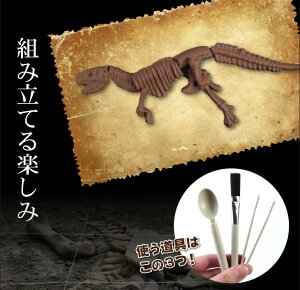 ����饷�å����祳�� �ѥ��� �ڤ�����祳�� ȯ�� ���� ��ˡ��� ������ ���⤷����