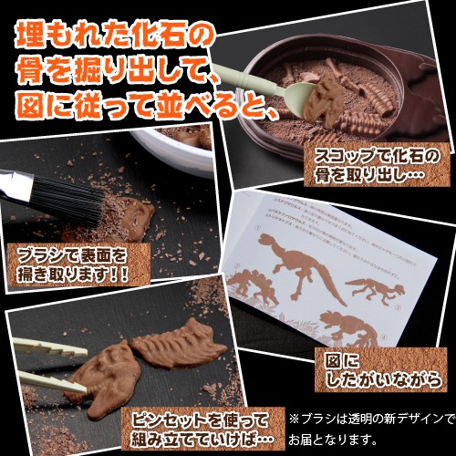 ����饷�å����祳�� �ѥ��� �ڤ�����祳�� ȯ�� ���� ��ˡ��� ������ ���⤷����