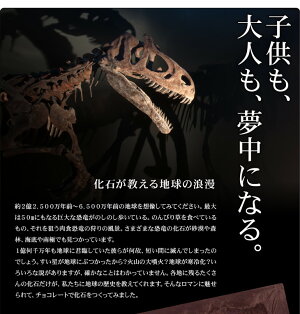 ����饷�å����祳�� �ѥ��� �ڤ�����祳�� ȯ�� ���� ��ˡ��� ������ ���⤷����