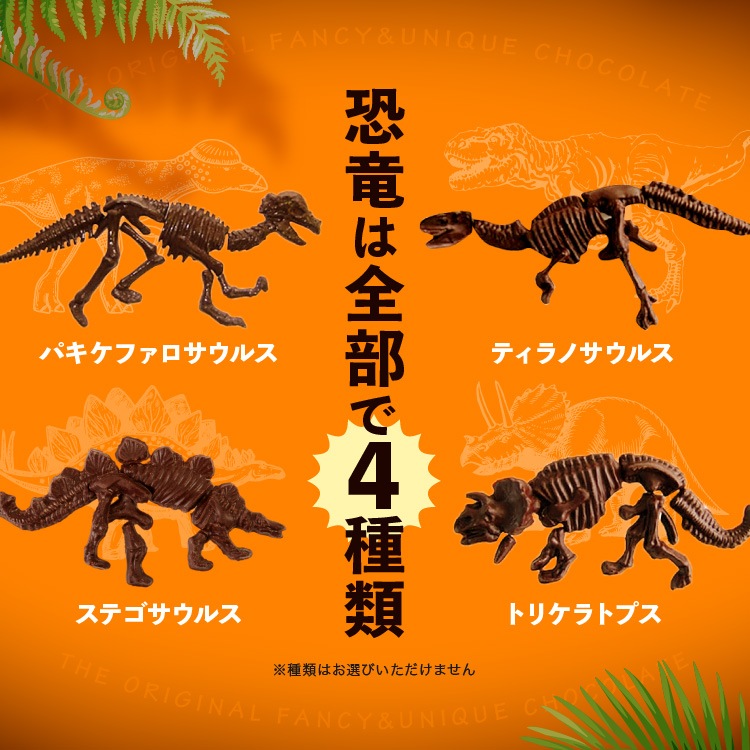 ����饷�å����祳�� �ѥ��� �ڤ�����祳�� ȯ�� ���� ��ˡ��� ������ ���⤷����