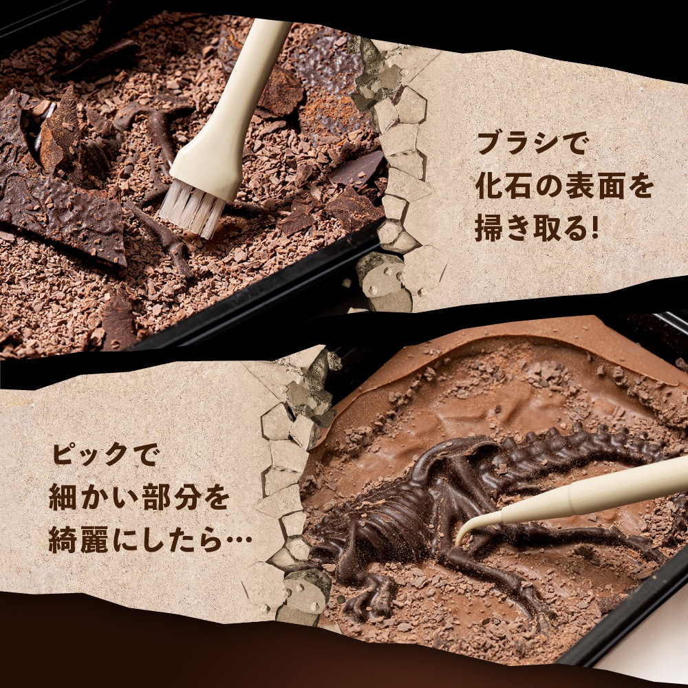 ����饷�å����祳��ڥǥ������åס۳�äơ����äơ��ڤ�����祳�졼�ȡ�ȯ�����祳����ε�ڤ����ͤء�