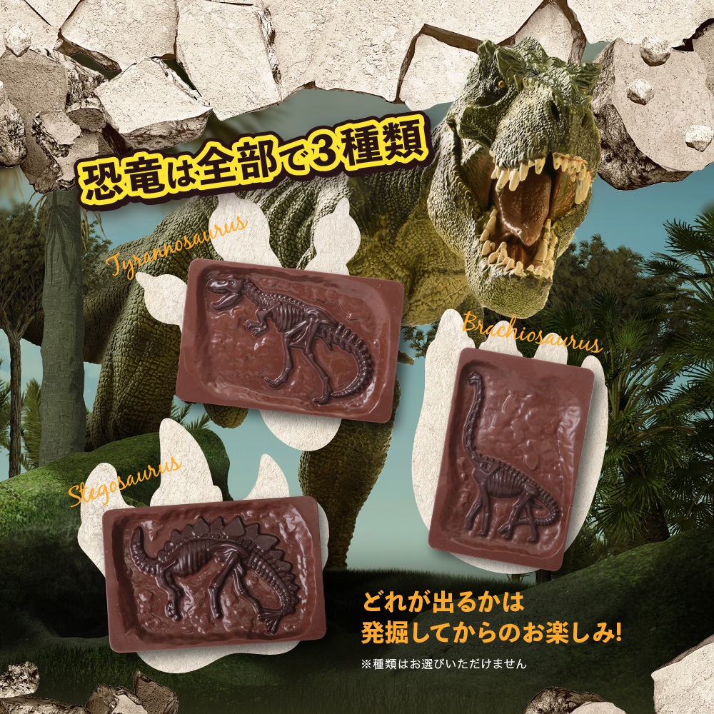 ����饷�å����祳��ڥǥ������åס۳�äơ����äơ��ڤ�����祳�졼�ȡ�ȯ�����祳����ε�ڤ����ͤء�