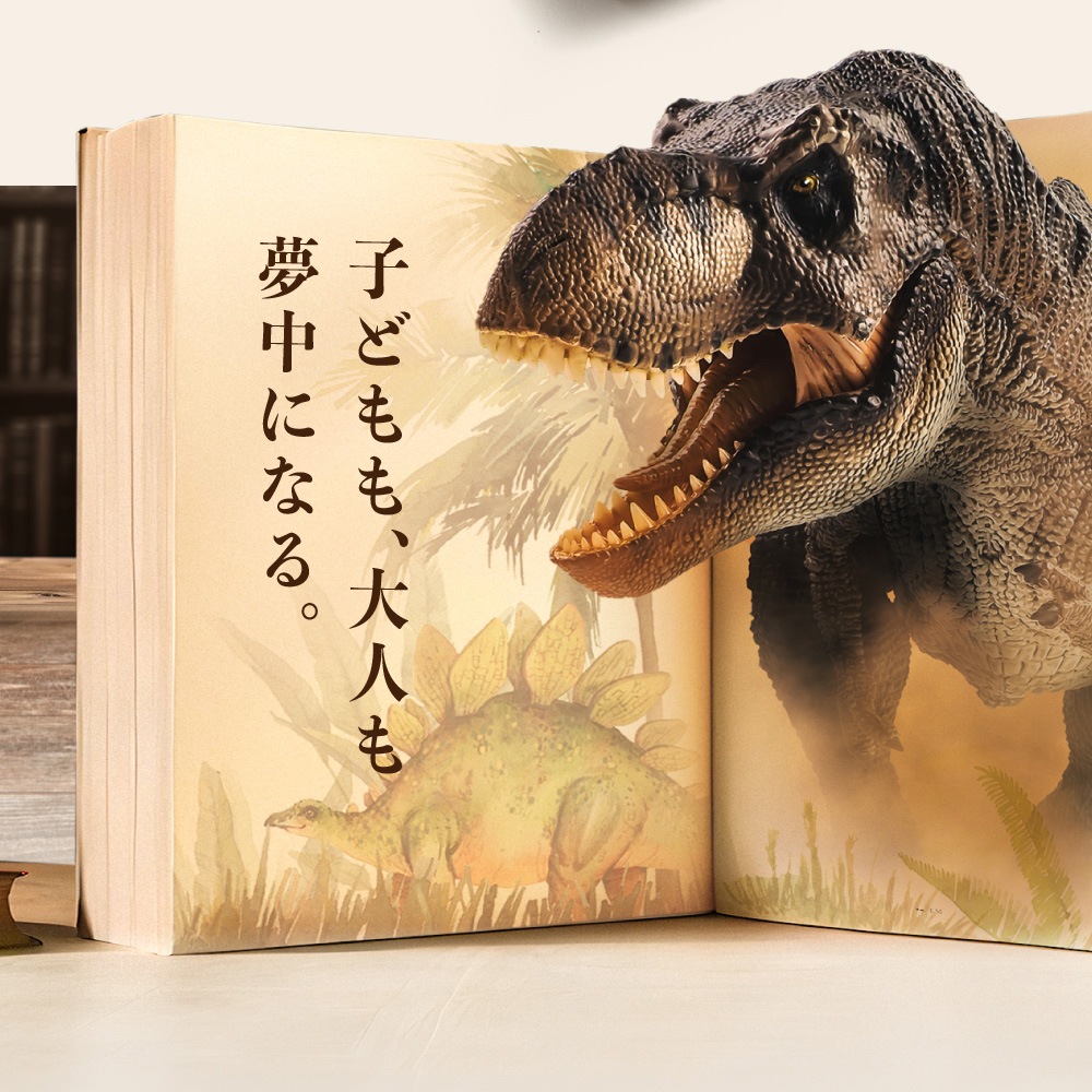 ����饷�å����祳��ڥǥ������åס۳�äơ����äơ��ڤ�����祳�졼�ȡ�ȯ�����祳����ε�ڤ����ͤء�