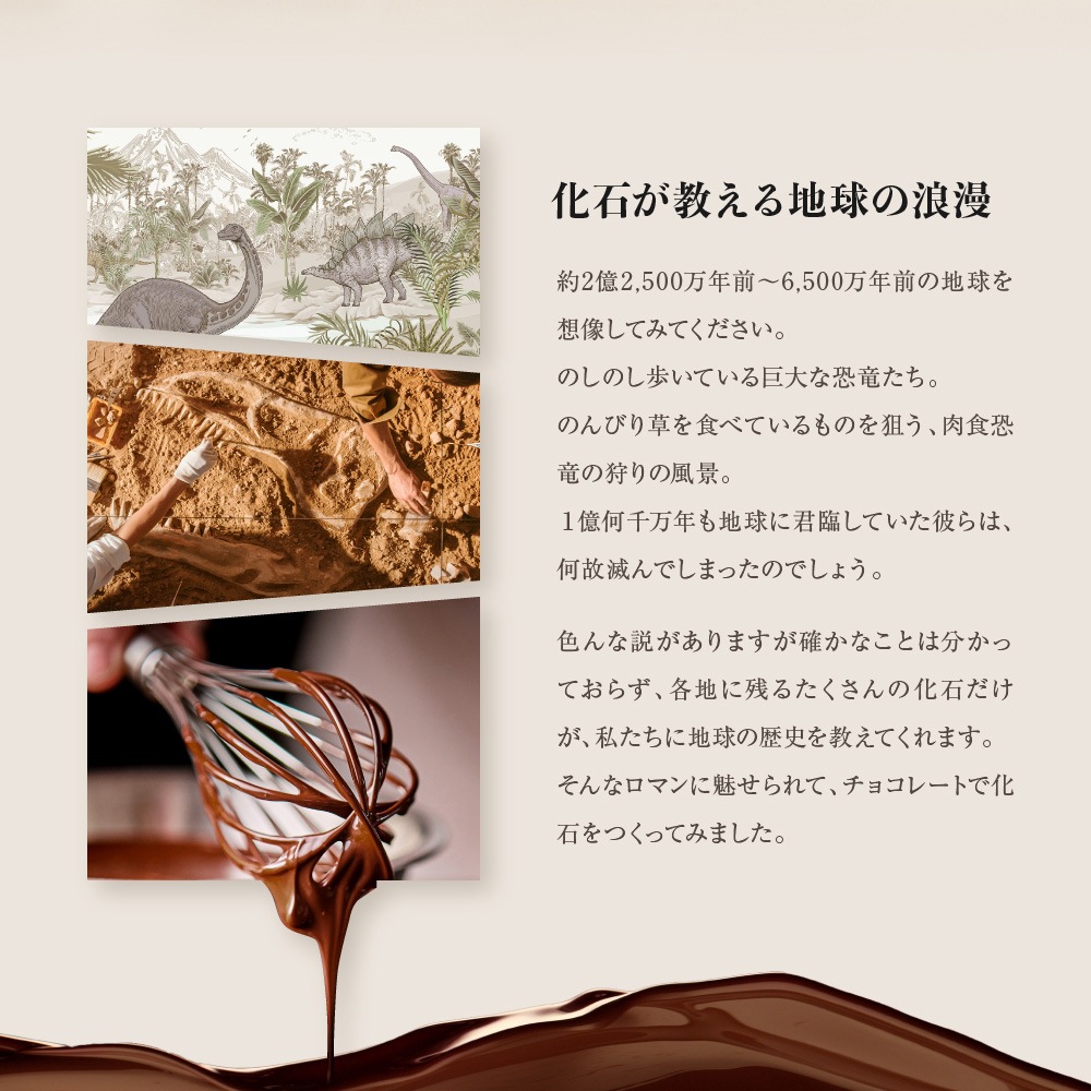 ����饷�å����祳��ڥǥ������åס۳�äơ����äơ��ڤ�����祳�졼�ȡ�ȯ�����祳����ε�ڤ����ͤء�