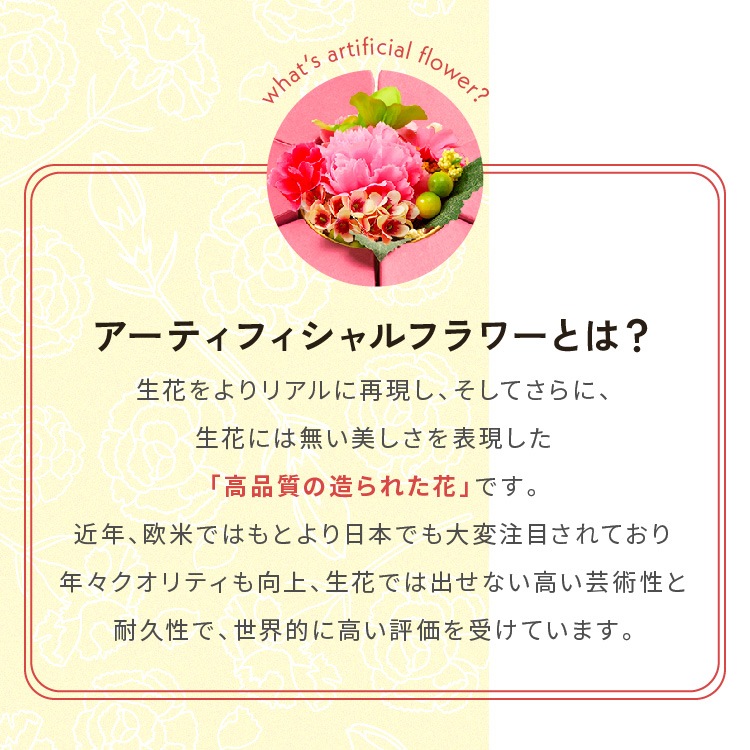 ������̵����2026����� �ץ쥼��� ���ۻ� ���ͥ��祳�����6���� ���󥹥��Ǥ� ���祳�졼�Ȳۻ� ��
