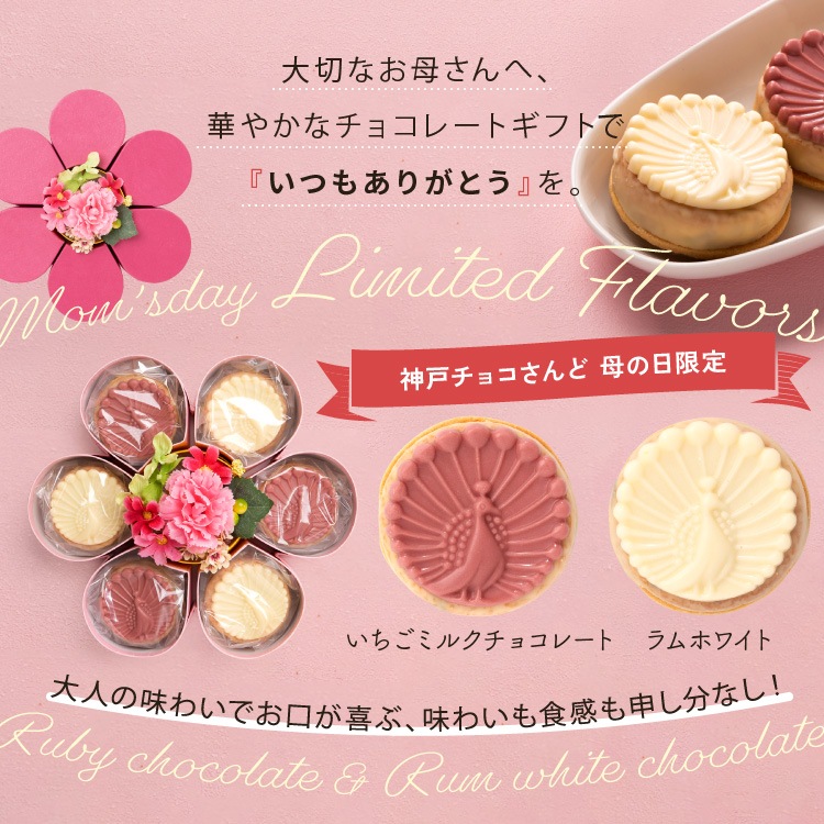 ������̵����2026����� �ץ쥼��� ���ۻ� ���ͥ��祳�����6���� ���󥹥��Ǥ� ���祳�졼�Ȳۻ� ��