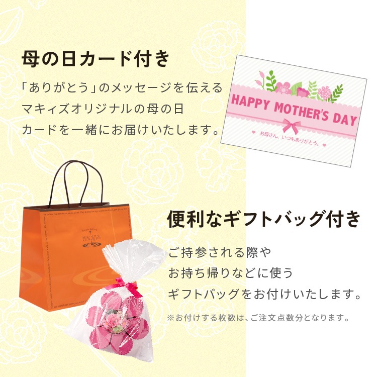 ������̵����2026����� �ץ쥼��� ���ۻ� ���ͥ��祳�����6���� ���󥹥��Ǥ� ���祳�졼�Ȳۻ� ��