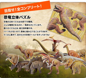 ��ε���祳������饷�å����祳�� �ݥåץ��å�  ��ε���祳�򿩤٤�̣�臘���Ȥ�Ω��Ω�Υѥ����2�ٳڤ�����