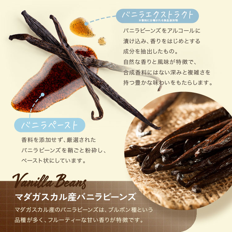 ͥå꡼160g 祳 ͵ 祳졼  Х˥ ۥ磻ȥ祳졼 ֥åå