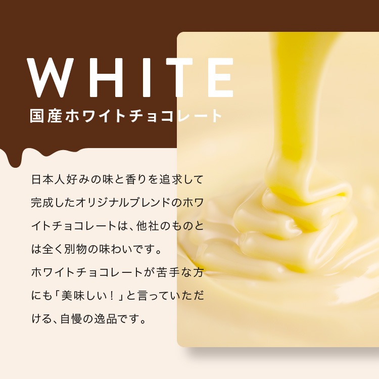 ֥åȥ祳 С祳<br>祳졼 ե ץ쥼  󥹥Ǥ 祳 ĥ祳 ɥ饤ե롼 ʥå ץե