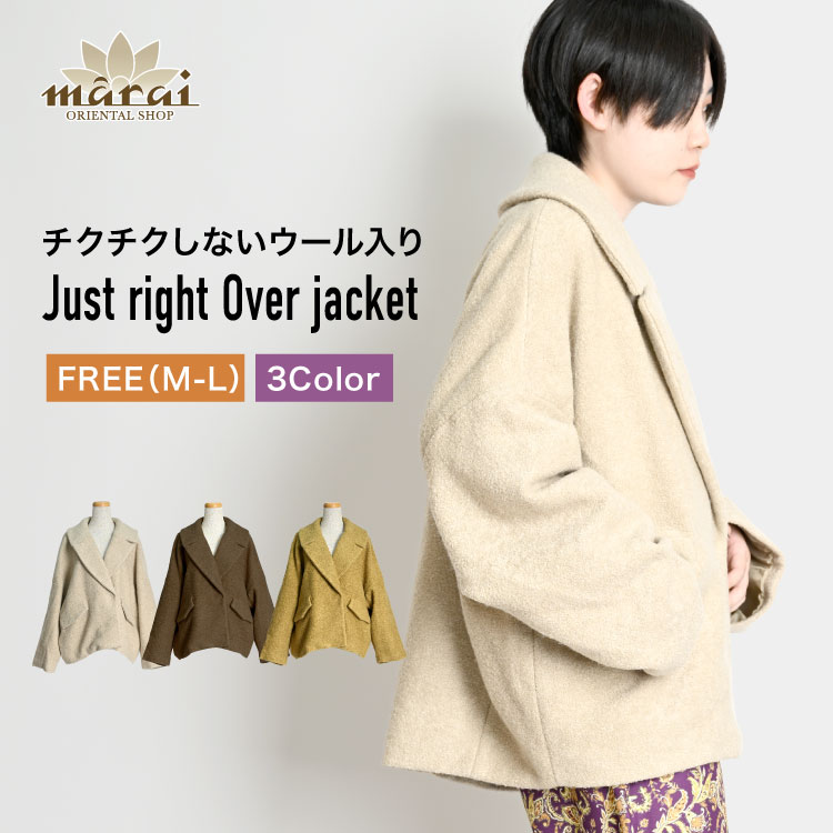 ジャケット・アウター mari THE NORTH FACE｜【10%OFF】カシウストリクライメイトジャケット