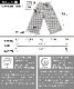動きやすさも忘れずオシャレに。ギンガムチェック柄ワイドパンツ の別カット