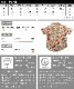 個性的シアーシャツで華やかコーデに。花柄シアーシャツブラウス の別カット