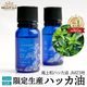 �ڴ��ָ���10%OFF�ۡڿ��̸���ۥϥå��� ŷ�� �ϥå� ���� �Ϥä� ������ 10ml ����䤫�Ǳ�������ꡣ�����¥ϥå���JM23�� ������ ��褱 �����к� ����ॷ �к� �ǥ��ɥ��� �ߥ�� �֥�å��ߥ�� ���å��� ��ե�å��� ����ͽ�� �ý��� �ä��� �䴶 ����