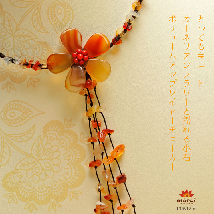 �����ͥꥢ��ե����ɤ�뾮�Т��ܥ�塼�ߡ��磻�䡼���硼����