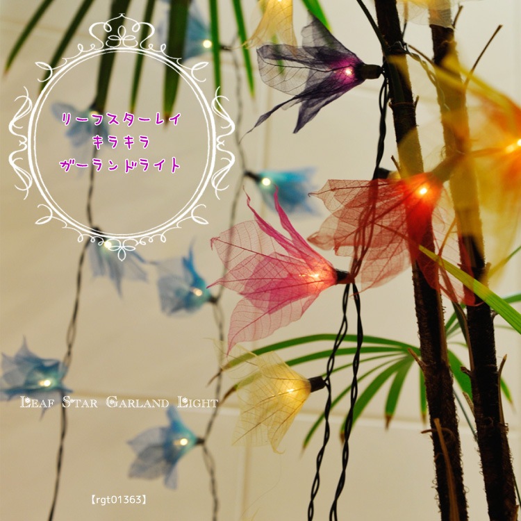 �꡼�ե������쥤�����饭�饬�����ɥ饤��MxD0600