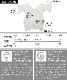 ヘルシーな肌見せ叶うカットアウトアシメカットソー の別カット