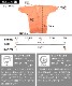 �դ�äȷڤ������硼���åȥ����ǥ�����