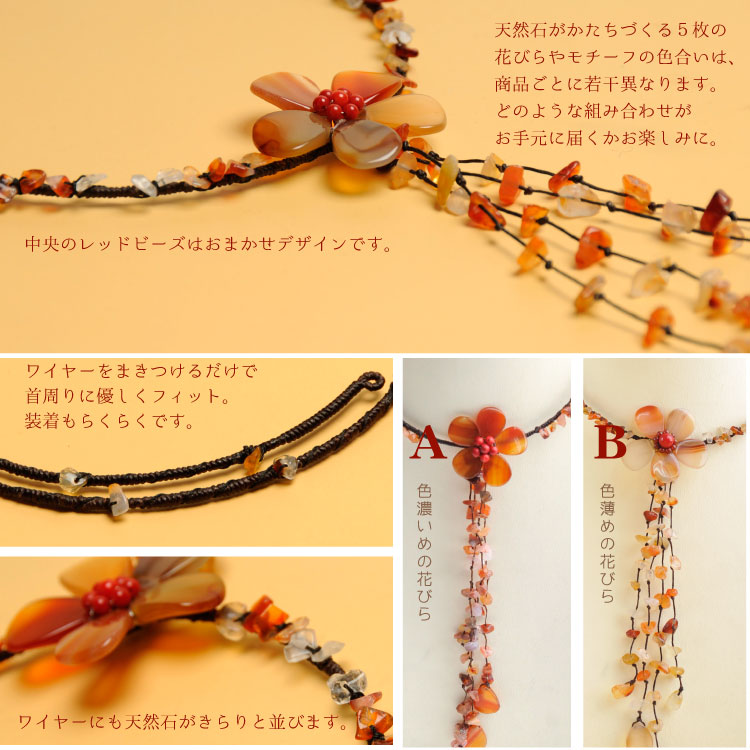 �����ͥꥢ��ե����ɤ�뾮�Т��ܥ�塼�ߡ��磻�䡼���硼����