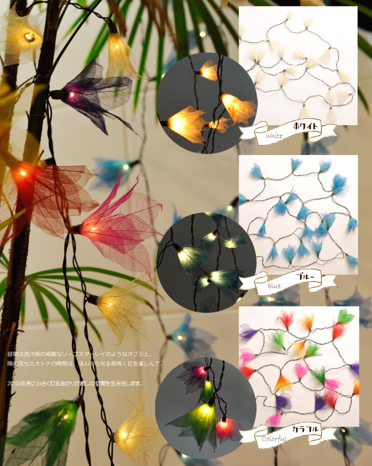 �꡼�ե������쥤�����饭�饬�����ɥ饤��MxD0600