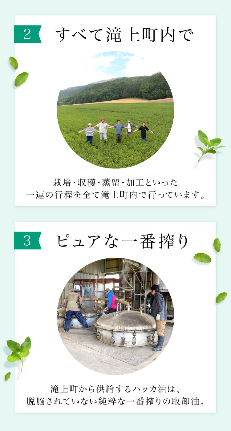 �ڴ��ָ���21.7%OFF�ۥϥå��� ŷ�� �ϥå� ���� �Ϥä� ������ 10ml �����äȴŤ�����֤䤫�����¥ϥå��� ������ ��褱 �����к� ����ॷ �к� �ǥ��ɥ��� �ߥ�� ���å��� ��ե�å��� ����ͽ�� �ý��� �ä��� �䴶 ����