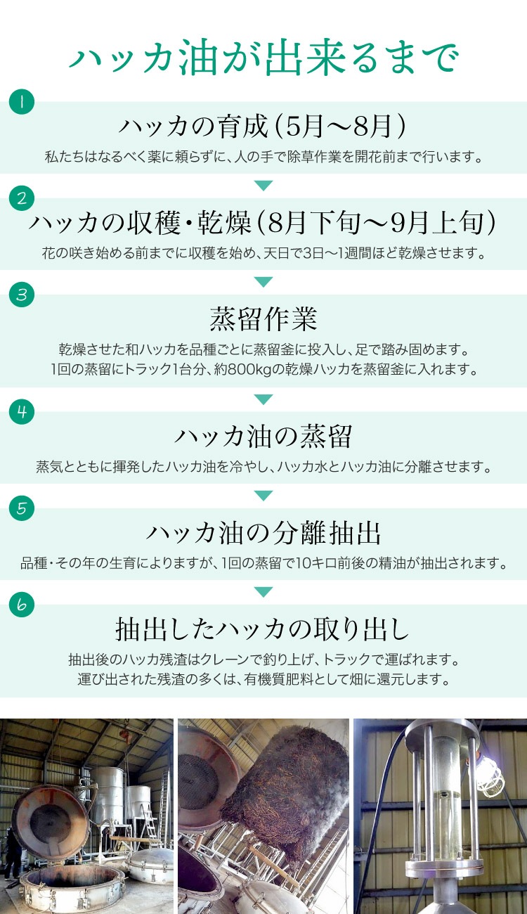 �ڴ��ָ���21.7%OFF�ۥϥå��� ŷ�� �ϥå� ���� �Ϥä� ������ 10ml �����äȴŤ�����֤䤫�����¥ϥå��� ������ ��褱 �����к� ����ॷ �к� �ǥ��ɥ��� �ߥ�� ���å��� ��ե�å��� ����ͽ�� �ý��� �ä��� �䴶 ����