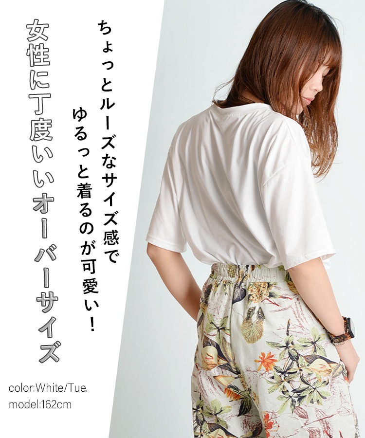 ���������Ƿ����֤��İ�����󤷡����������꡼����ȾµT�����